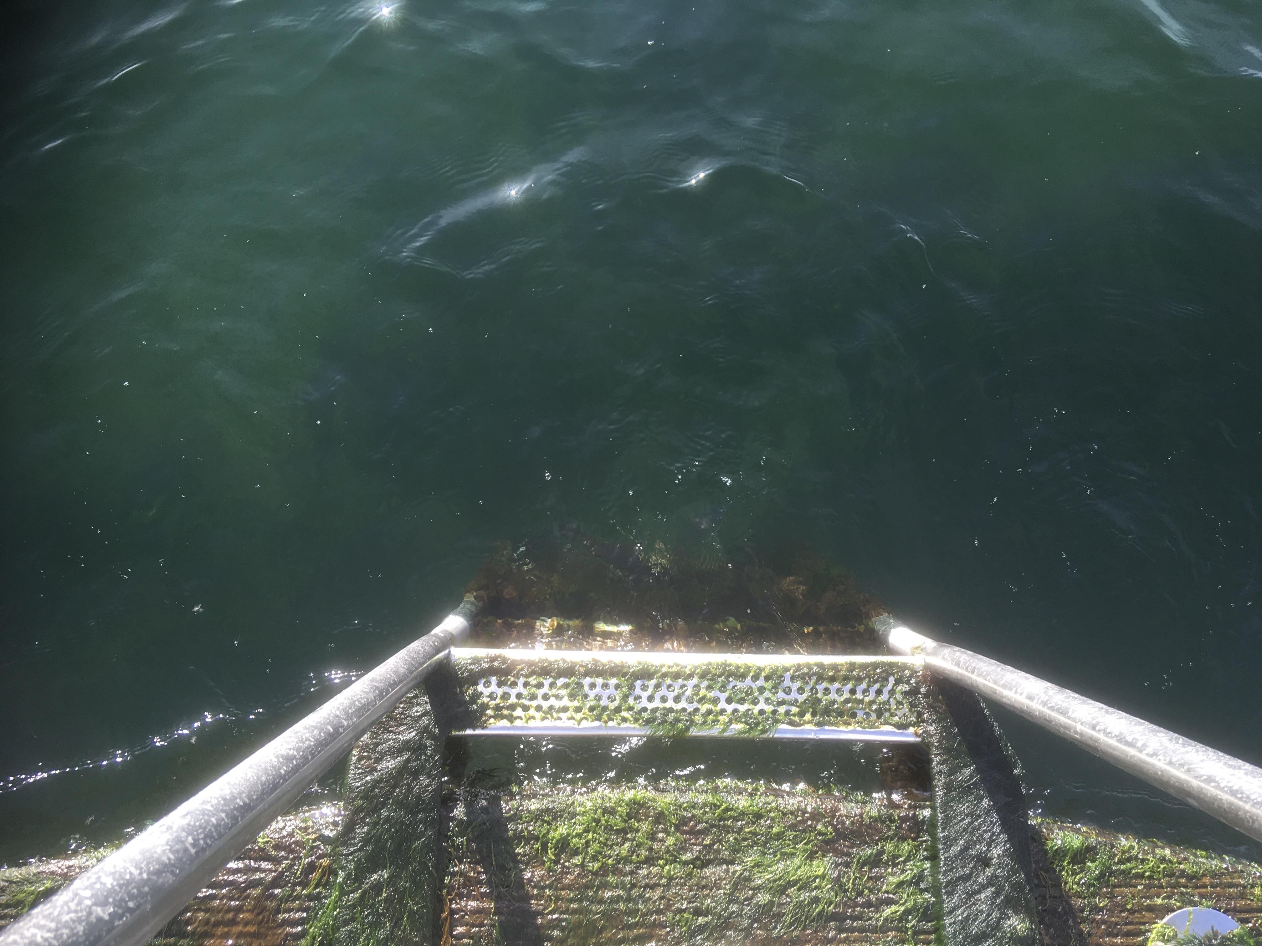 A jetty with steps down into cold water.